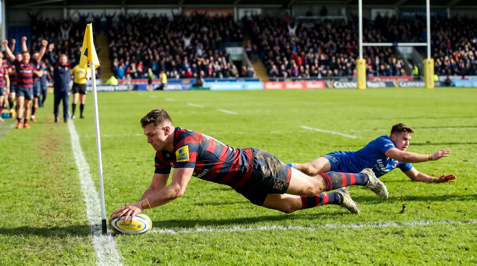 Rugby winger finishing a try in the corner with the oval ball grounded near the corner flag